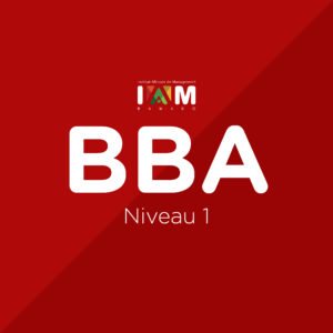 Administration des Affaires Niveau 1