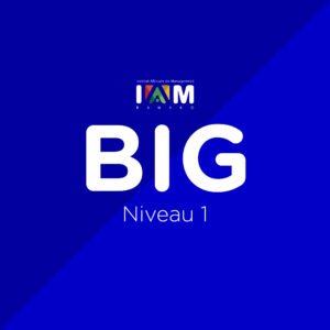 Informatique de Gestion Niveau 1