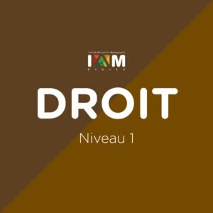 Droit des Affaires Niveau 1