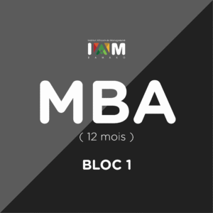 MBA 12 mois – Bloc 1