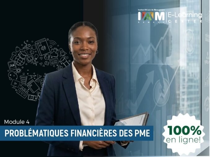 Problématiques financières des PME Module 4 – Sources de financement et ingénierie financière des PME