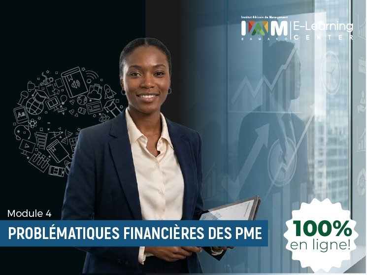 PROBLEMATIQUES FINANCIERES DES PME Module 4 - Sources de financement et ingénierie financière des PME