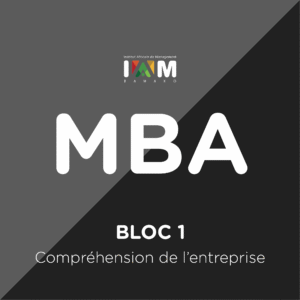 BLOC 1 – Compréhension de l&rsquo;entreprise