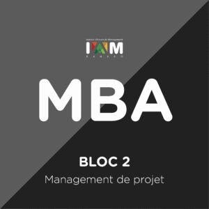 BLOC 2 – Management de projet