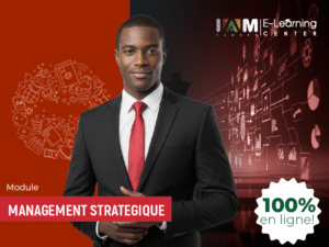 Management Stratégique