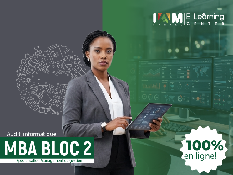 AUDIT INFORMATIQUE