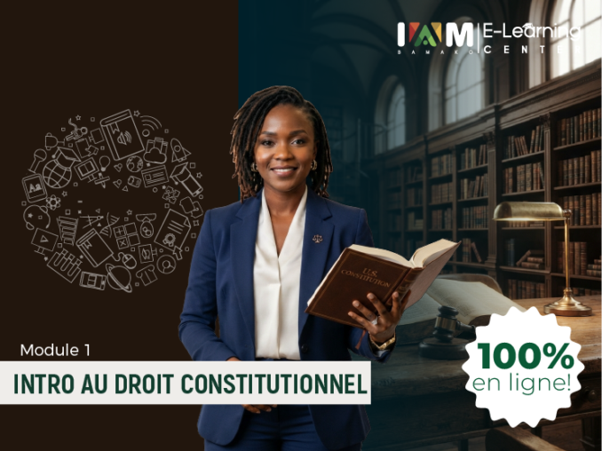 INTRODUCTION AU DROIT CONSTITUTIONNEL 1 – SEMESTRE 1