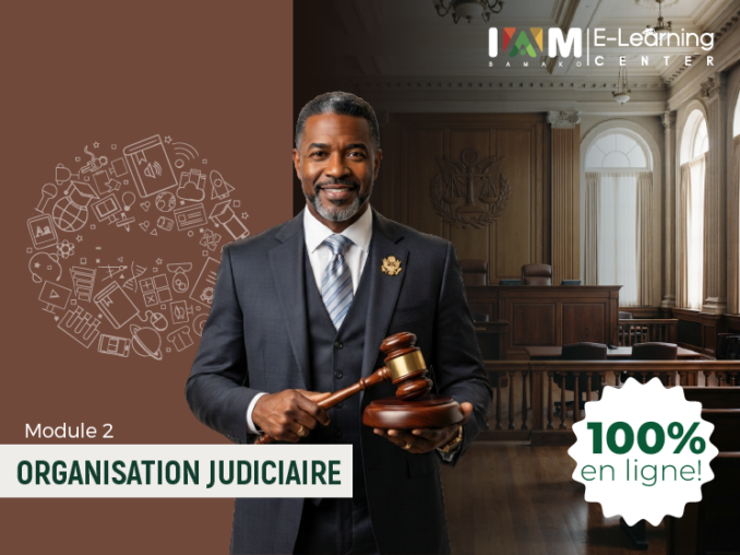 ORGANISATION JUDICIAIRE – SEMESTRE 1